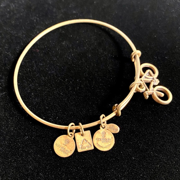 Alex and Ani Charity by Design Bike Rafaelian Gold Bangle Bracelet - Picture 5 of 14